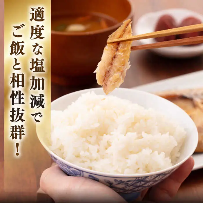 【全6回定期便】【訳あり】 干物 セット [JAQ022] ひもの