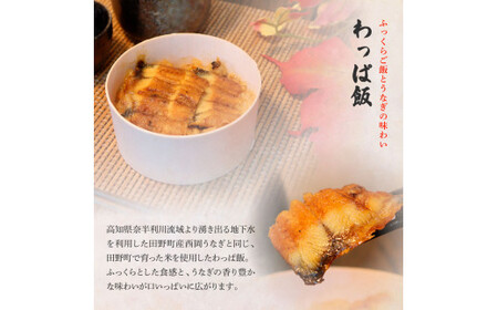 わっぱ飯4個+うなぎの白焼き(大)2尾