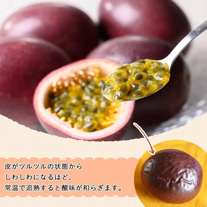 パッションフルーツ 約1.3kg以上・9～15個入 国産 果物 常温 【ひさちゃん養蜂園】n258