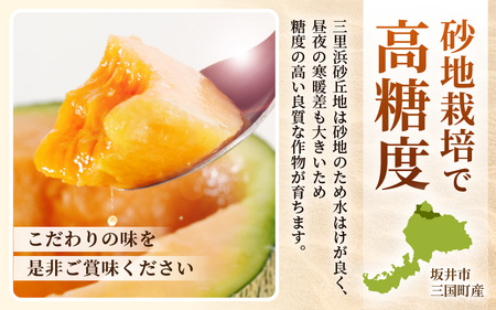 マルセイユメロン（赤肉メロン）3L 2玉入り（1玉：約1～1.3kg） 2027年6月上旬以降発送 [A-19207]