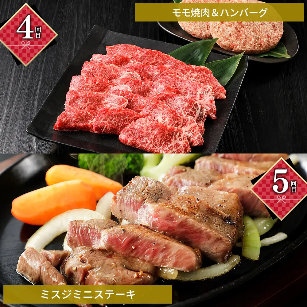 十勝ナイタイ和牛 定期便 5回 5ヵ月定期便 国産 北海道 牛 肉 牛肉 和牛 5・4等級 黒毛和牛 オレイン酸含有率55%以上 サーロイン ミスジ ステーキ ハンバーグ 冷凍