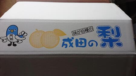 梨 3kg 幸水または豊水【日時指定不可】フルーツ 果物 ナシ なし 和梨 季節のフルーツ 季節の果物 旬のフルーツ 旬の果物 千葉 千葉県 成田市