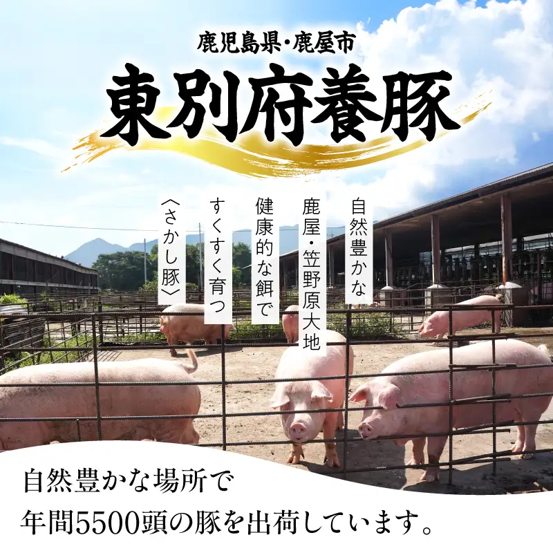 2477 鹿屋産 さかし豚 ちょっと 贅沢 肩ロース ミンチ 3kg KN079-015 肉 豚肉