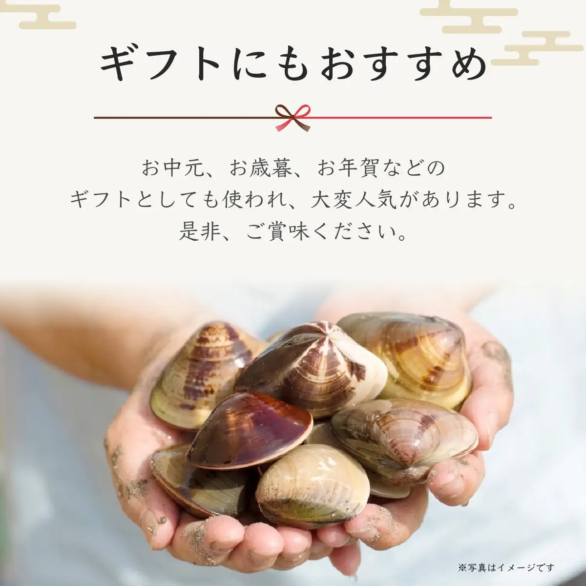＜１２ヶ月毎月届く定期便!＞九十九里浜産活天然はまぐりサイズお任せ2kg入り SMBB007