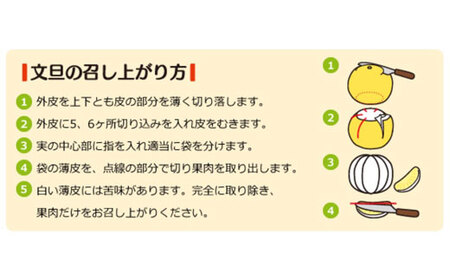 成田果樹園 土佐文旦 5kg 贈答用 文旦