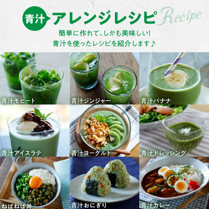 ＜6ヶ月に1度、2回送付定期便＞大麦若葉粉末(462H)+黒ごま黒豆きな粉+ 糖流茶 [027Y26-T]