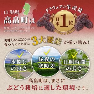 【期間限定発送】 ぶどう 4回 定期便 高畠町産 ぶどう満喫 セット