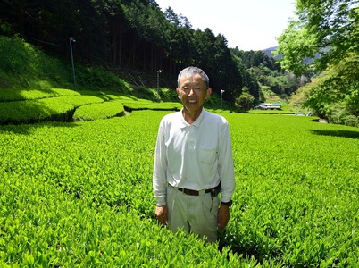お茶 煎茶ティーバッグ 30包 3袋セット 有機農家 静岡県産 お茶 
