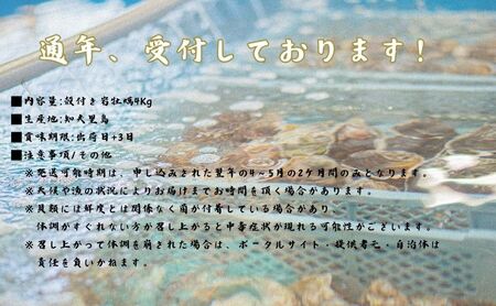 【知夫里島産 岩牡蠣 2kg】ブランド 岩牡蠣 生食可 牡蛎 牡蠣 かき カキ 岩牡蠣 いわがき 海鮮 海産物 海の幸 シーフード 魚貝類 父の日 母の日 バーベキュー ギフト 濃厚 クリーミー