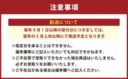 水なすの浅漬け 4個 ＋ ご褒美プリン 3個 【5月上旬から9月下旬発送予定】 