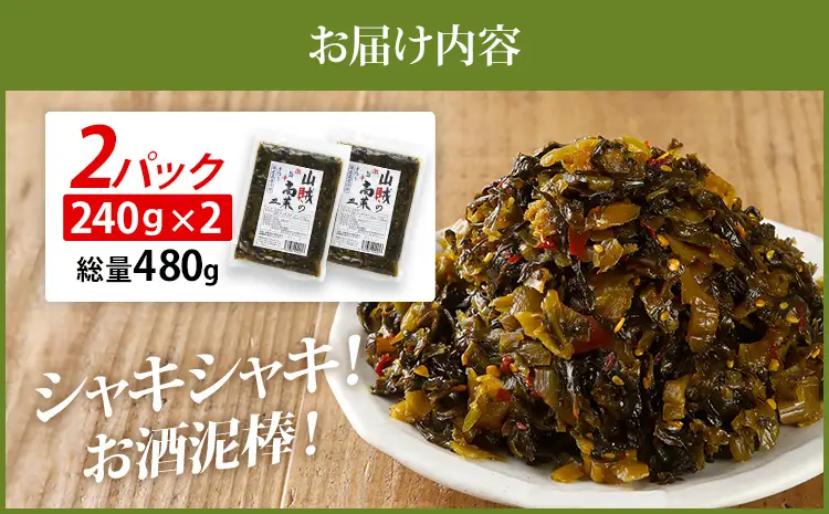 辛子高菜 240g×2パック（480g） 山賊の高菜