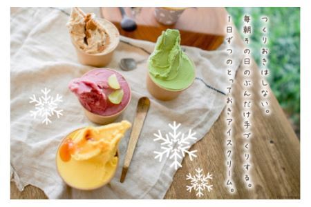 アイス ナチューラのアイスクリーム Cおまかせセット 12個入り
