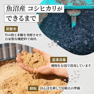 【令和8年産 新米先行受付】【無洗米】「米食味鑑定士 厳選」魚沼産コシヒカリ 6kg（3kg×2袋）米 こめ お米 コメ こしひかり 新潟県 魚沼市 魚沼 ライス ご飯 主食 新潟県産 産地直送 時短 