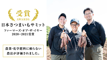 冷凍 焼き芋 1kg(500g×2袋) ギフト BOX 入