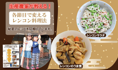 【先行予約】佐賀県産泥付きレンコン（2kg） 蓮根 レンコン 野菜 れんこん A070-029