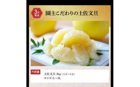 【全3回定期便】土佐市まるごと定期コース（ハヤシの花ダブル30ロール・土佐文旦3kg・生カツオ藁焼きタタキ3~5人前）高知県土佐市 【土佐市役所】 [BQCD012]