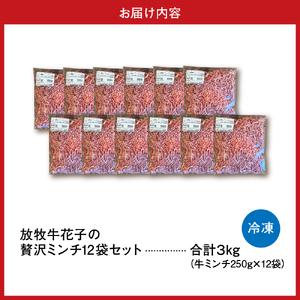 特用牛ミンチ！放牧牛花子の挽き肉3000ｇ！【er008-018】牛肉　ひき肉　挽肉　挽き肉　ミンチ　ミンチ肉　ハンバーグ　ミートソース　ミートボール
