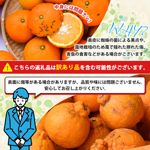 ＜2026年12月発送分！＞旬の柑橘詰合せセット (約10kg) 国産 鹿児島県 阿久根市 果実 果物 フルーツ 柑橘 みかん ミカン 旬 詰め合わせ セット【桐野柑橘株式会社】akn070-16-m12