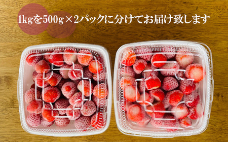 いつでも北海道のいちごをお届け【山科農園の冷凍すずあかね：1kg】＜ 北海道 道産 いちご イチゴ すずあかね 夏いちご アイス ＞