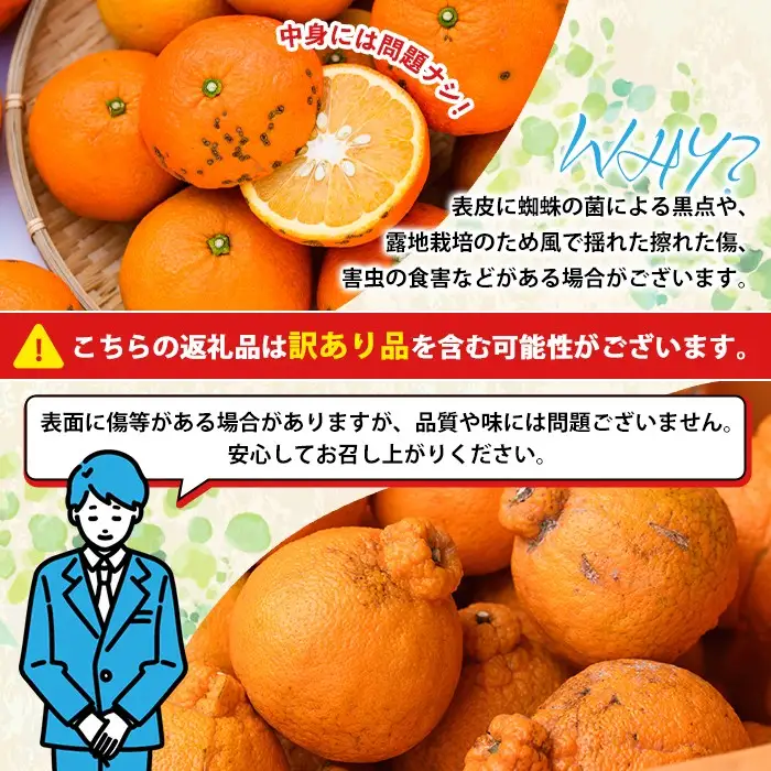 ＜2027年1月発送分！＞旬の柑橘詰合せセット (約10kg) 国産 鹿児島県 阿久根市 果実 果物 フルーツ 柑橘 みかん ミカン 旬 詰め合わせ セット【桐野柑橘株式会社】akn070-16-m01