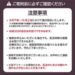 福岡県産 いちじく とよみつひめ 1.2kg 〔Fx013〕