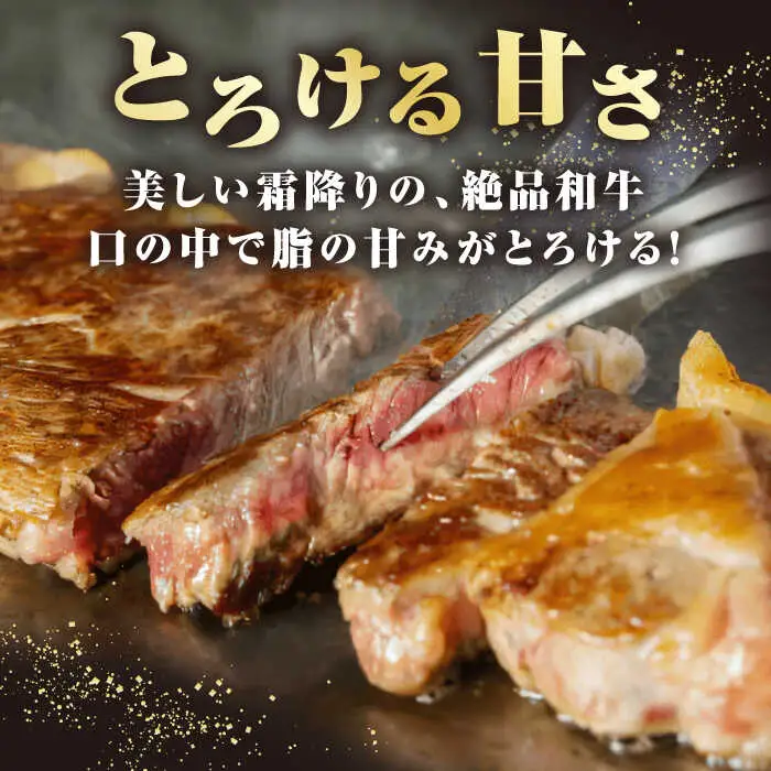 【全3回定期便】【A4～A5ランク】長崎和牛 サーロインステーキ 400g（200g×2枚）《壱岐市》【野中精肉店】 黒毛和牛 牛肉 和牛 赤身 希少部位  69000円 69000 6万円 [JGC031]