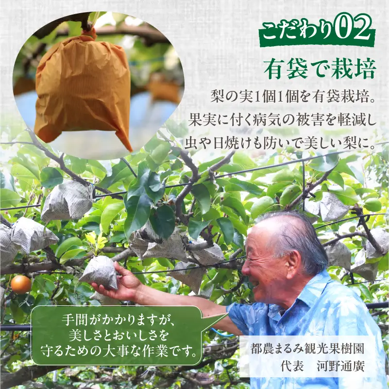 先行予約≪期間限定≫まるみ観光果樹園の『豊水梨』(約3kg) なし 果物 フルーツ 天然 ミネラル栽培_T036-0015