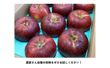 KR08 りんご 秋映（大玉）約5kg 贈答 / 2026年10月上旬頃～配送予定 // 長野県 南信州 松川町産 ギフト リンゴ 林檎 あきばえ 農家直送 農家支援 産地直送
