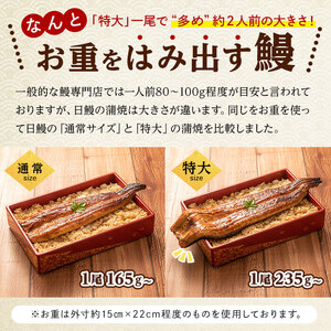 ＜期間限定規格＞日ノ本一の鰻の蒲焼き＜特大＞1尾(約235g以上) うなぎ 鰻 ウナギ 国産 鹿児島県産 九州産 蒲焼き 冷凍 うな重 ひつまぶし a4-071-sbs