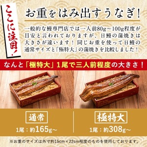 日ノ本一の鰻の蒲焼き＜極特大＞1尾(約308g以上) うなぎ 鰻 ウナギ 国産 鹿児島県産 九州産 蒲焼き 冷凍 うな重 ひつまぶし a5-281
