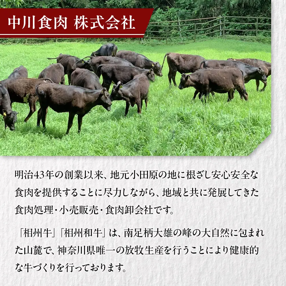 小田原 中川食肉おすすめ　かながわブランド　相州牛ロースステーキ用600ｇ