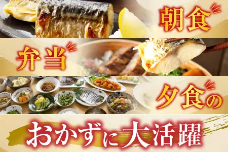 塩さばフィーレ11枚入×1P(計約1.5kg) G-11021
