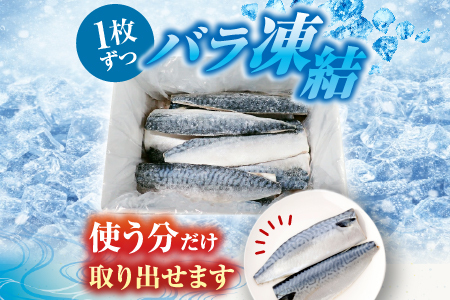 無添加天然サバフィーレ10枚 G-14022