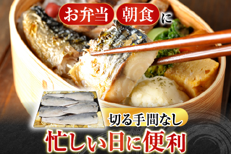 根室海鮮市場＜直送＞塩さばフィーレ11枚入×1P(計約1.5kg) G-28021