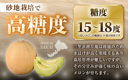 「ゆうかメロン」（青肉系メロン）2玉入り（1玉1.5kg前後） 2027年6月上旬以降発送 [A-19210]
