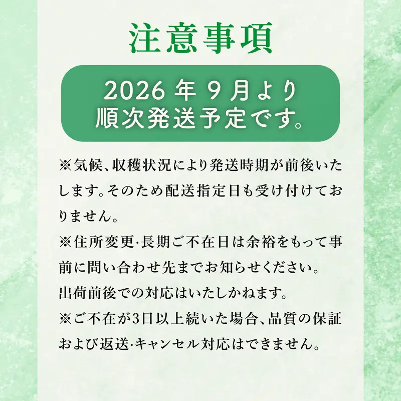 梨 旬 約3kg 彦根梨 豊水 9月発送