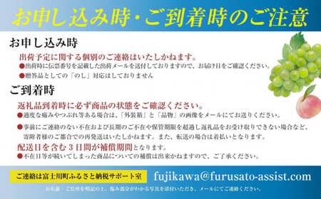 【2026年発送分 先行予約】【高評価】【訳あり】土屋さんのシャインマスカット（４～６房程度・２ｋｇ～２．２ｋｇ） 訳アリ フルーツ 果物 やまなし 山梨 ぶどう