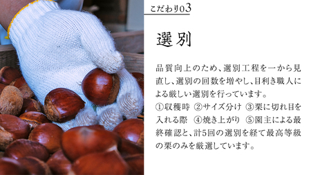 庄七農園 厳選『 最高等級 』氷蔵熟成 焼き和栗 500g【2026年10月発送開始】