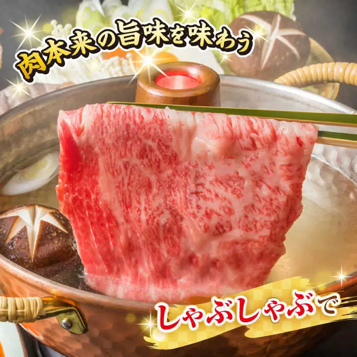 【厳選部位】A4～A5ランク 長崎和牛 サーロイン スライス 500g（すき焼き・しゃぶしゃぶ）《壱岐市》【株式会社MEAT PLUS】 肉 牛肉 黒毛和牛 鍋 ご褒美 冷凍配送 [JGH011]