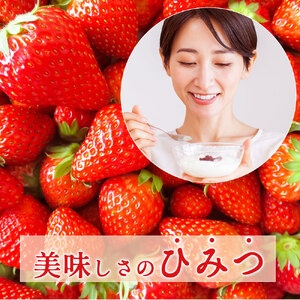 イチゴジャム 4個セット