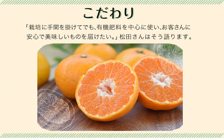 訳あり ご家庭用みかん 約5kg(S-2Lサイズ) 【日付指定不可】《10月中旬-12月下旬頃出荷》 松田農園