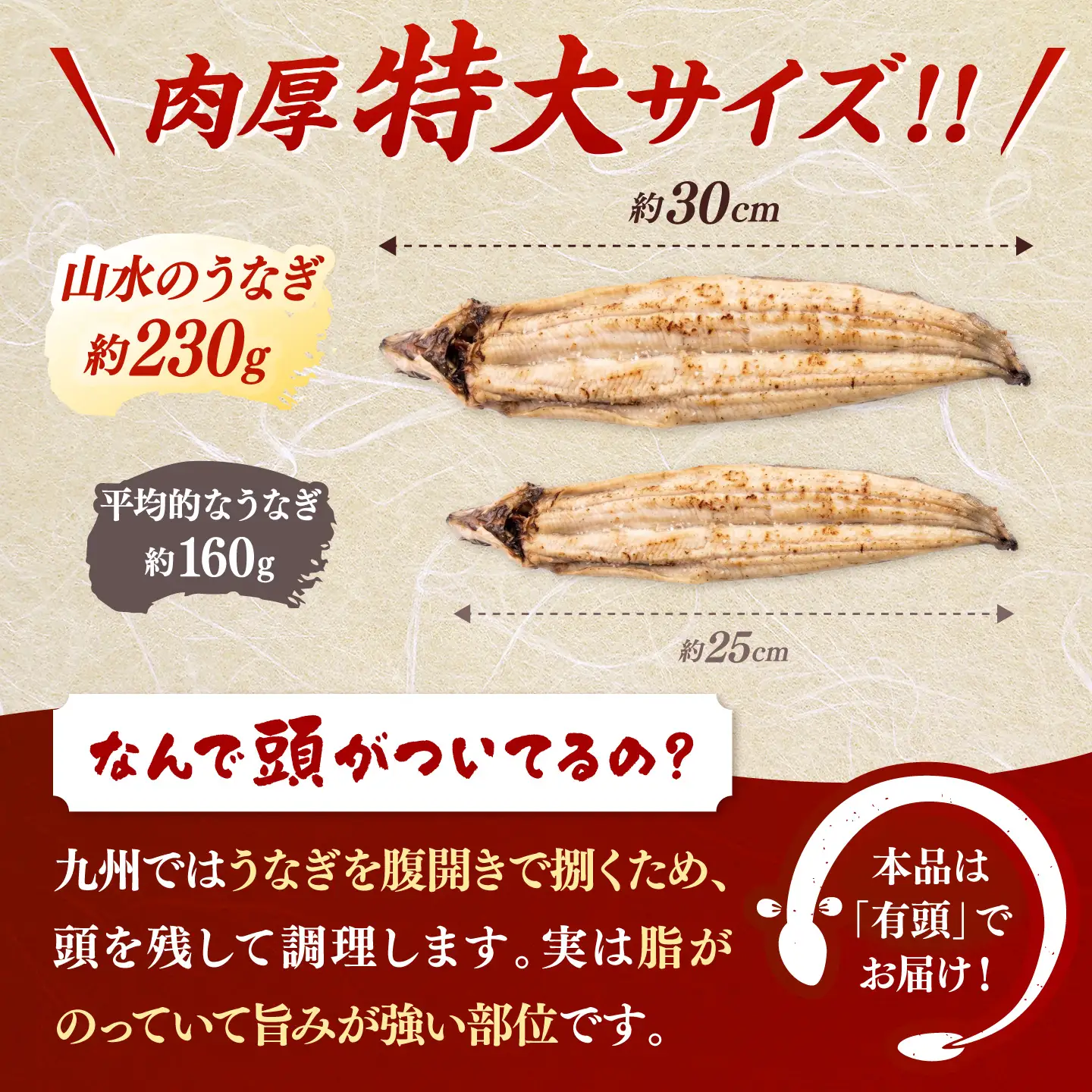 鹿児島県産 特上うなぎ 白焼き 2尾 [ADAH009] 白焼き