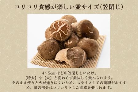 【2026年先行予約】生しいたけ 並サイズ（笠閉じ） 約1kg（24～36個）《11月上旬～順次出荷》 品評会で金賞受賞