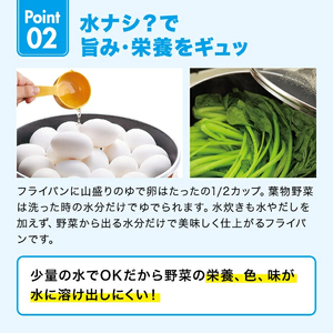 フライパン オールパンゼロ 20cm マンゴー フライパン