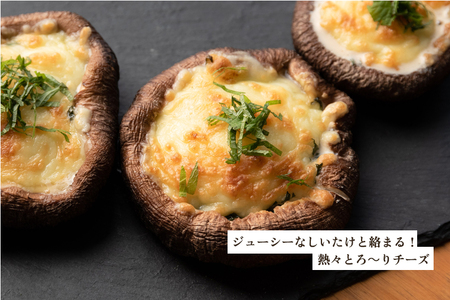 【2026年先行予約】【訳あり】生しいたけ 笠開き 約1.3kg（24〜40個）《10月中旬～順次出荷》