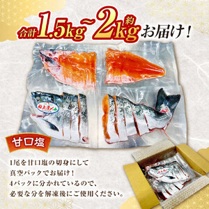 本鱒（サクラマス）船上活〆1本姿切り身【甘口塩】（1尾分1.5kg～2kg） ｜ サクラマス