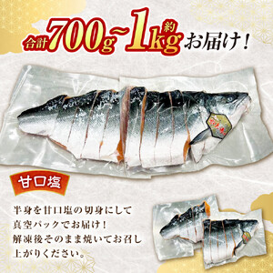 本鱒（サクラマス）船上活〆半身切り身【甘口塩】（半身約700g～1000g） ｜ サクラマス