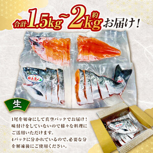 本鱒（サクラマス）船上活〆1本姿切り身【生】（1尾分1.5kg～2kg） ｜ サクラマス
