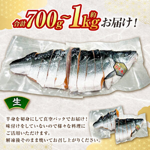 本鱒（サクラマス）船上活〆半身切り身【生】（半身約700g～1000g） 
