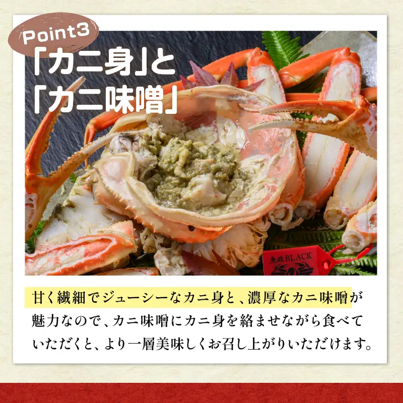 訳あり　【蟹の匠 魚政】茹で　プレミアムズワイガニ 魚政BLACK（松葉ガニ・越前ガニ） 特大サイズ（1200～1300g） 2匹セット(1月～3月発送）　蟹